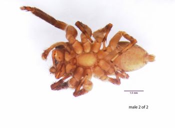 Media type: image; Invertebrate Zoology 22010
